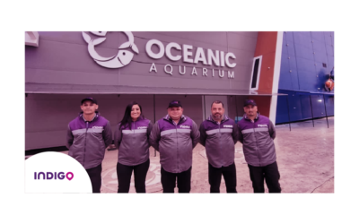 Vai ao Oceanic Aquarium? Saiba onde estacionar!